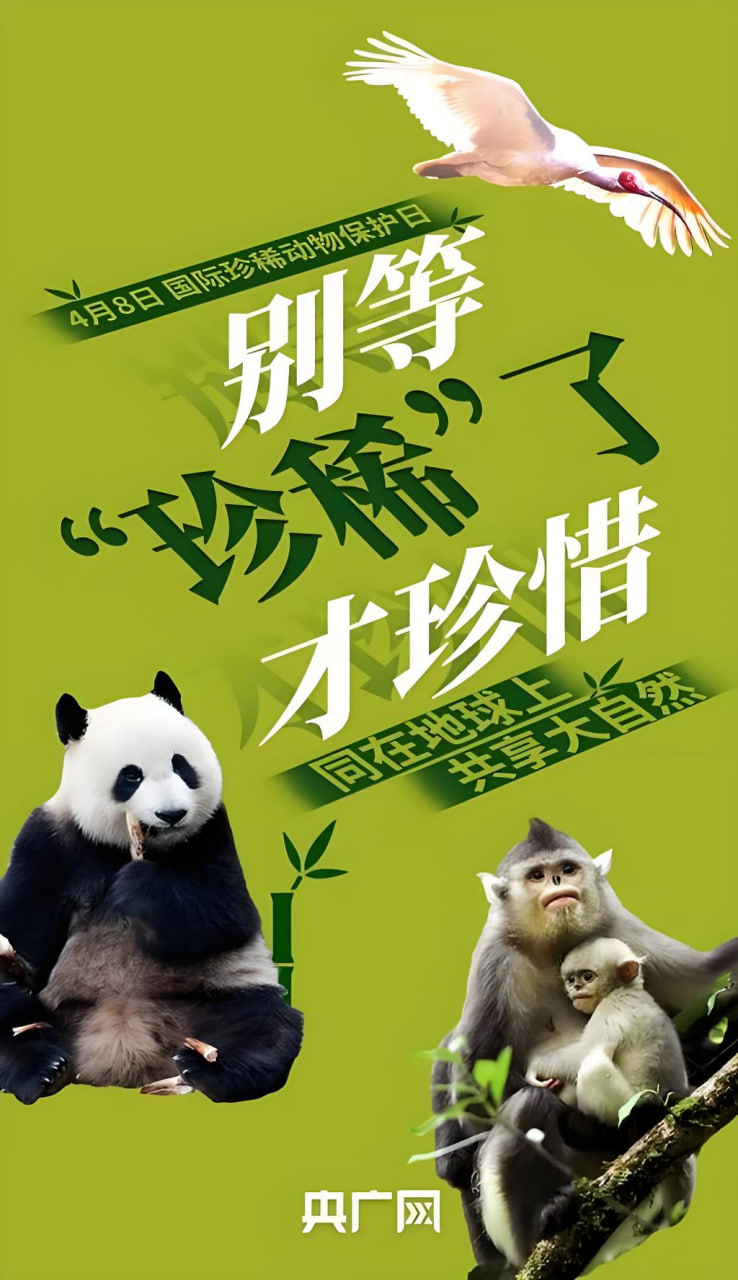 推广网站挣钱